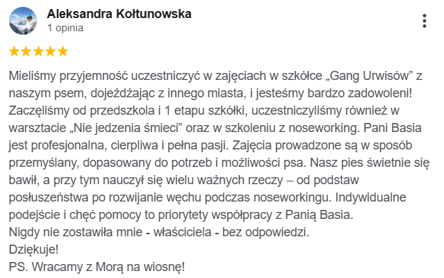 bez dat (6) bez dat (6)